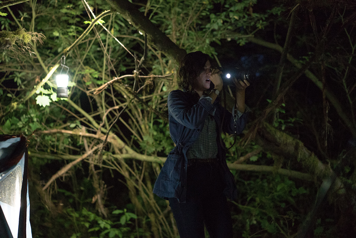 The 2016 film