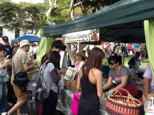 Fried green tomatoes at the KCC Farmer's Market