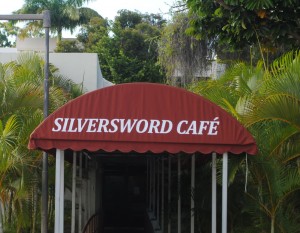 The Silversword Cafe has plenty of healthy options that fit the criteria Photo by: Lee Bailey