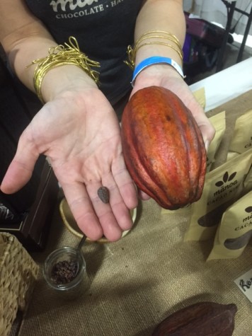 The Cocoa pod and the nib inside the seed.