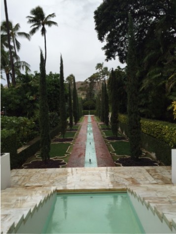 The garden in the side yard.