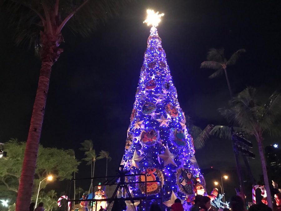 Honolulu City Lights Spread Holiday Spirit Chaminade Silversword