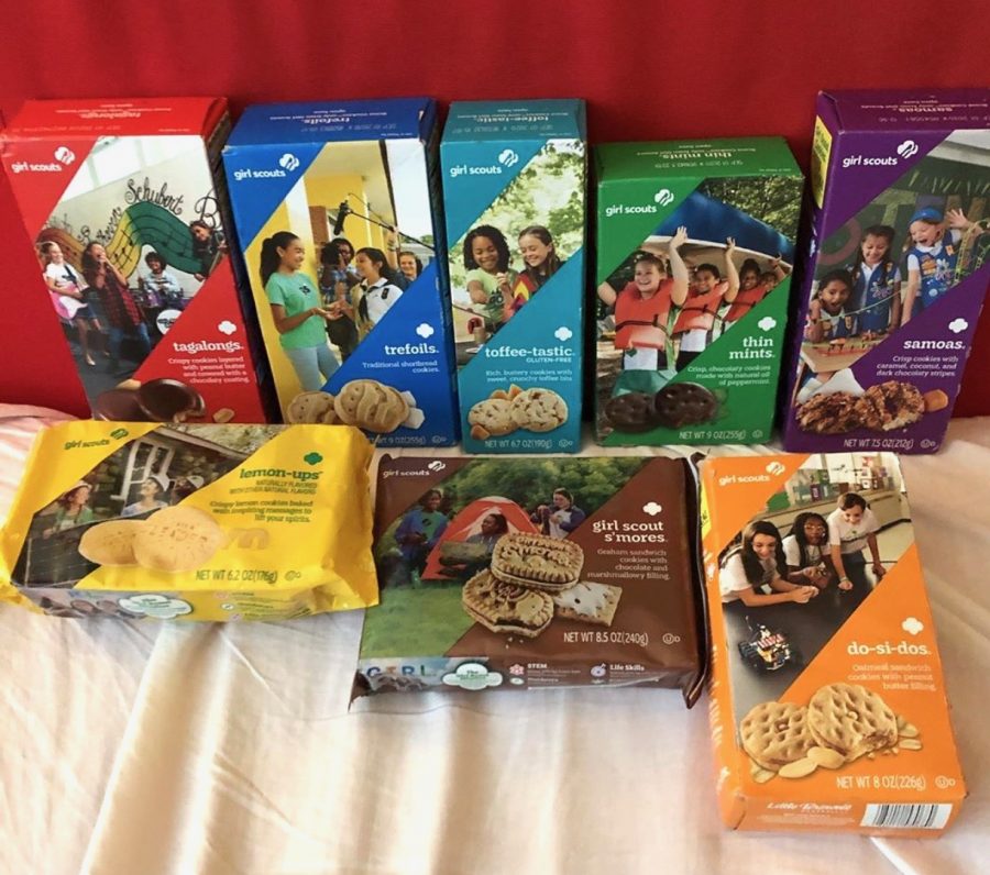 Here are some of the Girls Scout Cookies offered this season. The cookies (from left to right, starting from the back row to the front row): Tagalongs, Trefoils, Toffee-tastic, Thin Mints, Samoas, Lemon-ups, Girl Scout Smores, and Do-si-dos.