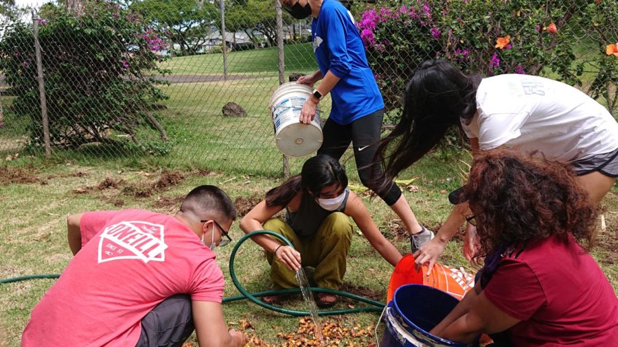 Silverswords are encouraged to participate in service-learning opportunities in the Oʻahu community to enrich their college experience.
