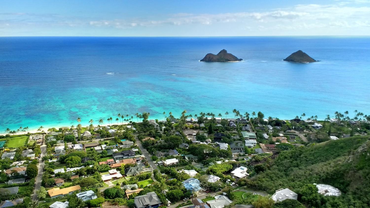 5 Beginner-Friendly Hikes on Oahu – Chaminade Silversword