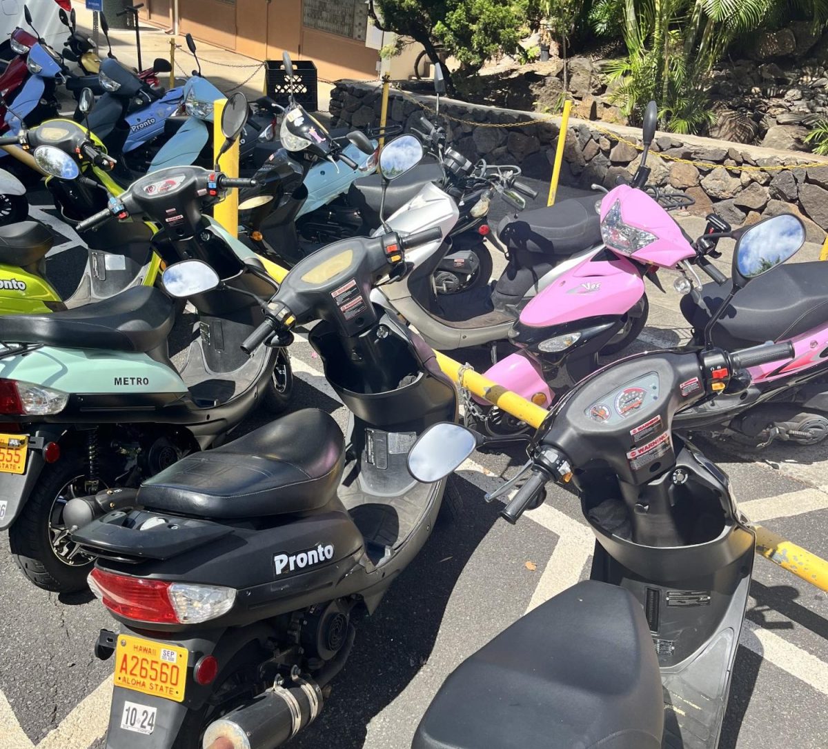 A new moped law, which will require all riders to wear a helmet, was met with mixed reactions from Chaminade moped owners. 