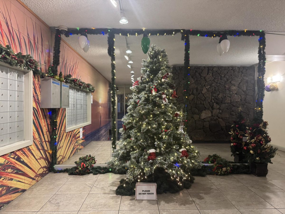 A Christmas tree glows in the middle of the holiday chaos, reminding me that even the messiest season still has its moments of calm.